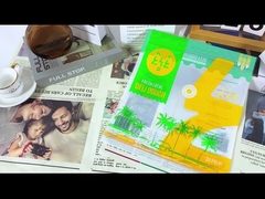 Baggio di confezionamento con cerniera di plastica di chiusura Matte scomparso per il cibo cotto