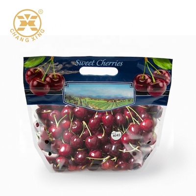 borse d'imballaggio della frutta asciutta di 100g 500g con il foro Cherry Stand Up Pouches Eco fresco amichevole