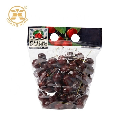 supporto risigillabile delle verdure 500g sui frutti asciutti delle borse del sacchetto che imballano la cima della chiusura lampo del sacchetto